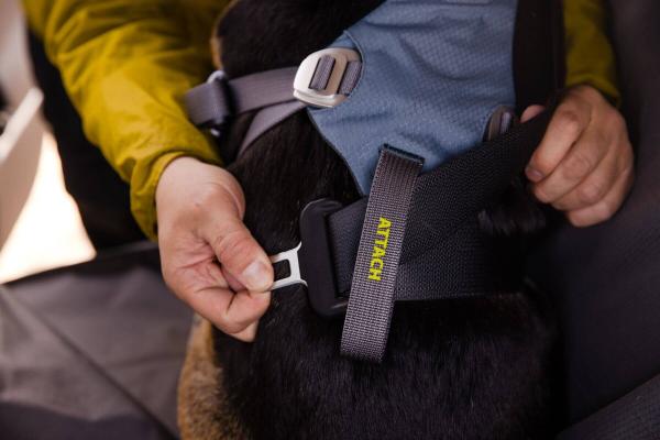 Load Up™ Harness (New Design) Slate Blue Gr. M Load Up™ Harness (New Design) Slate Blue Gr. M